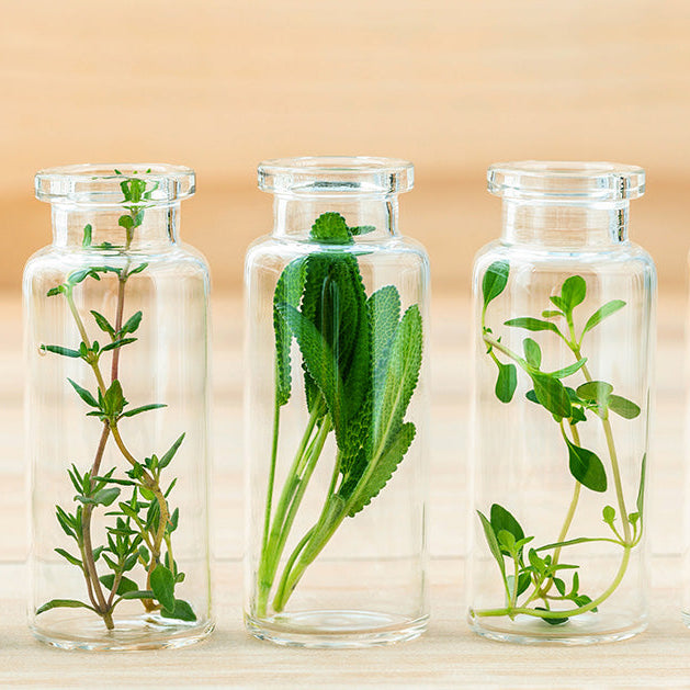 7 UNIQUE HERBS FOR JUICING