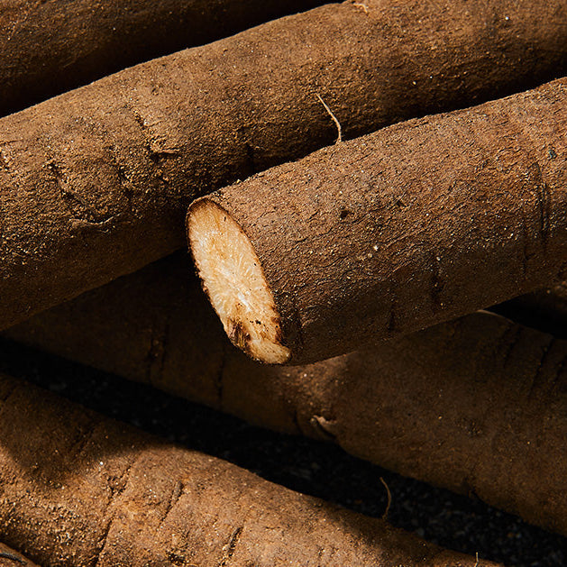 HOW TO USE BURDOCK ROOT IN JUICE RECIPES