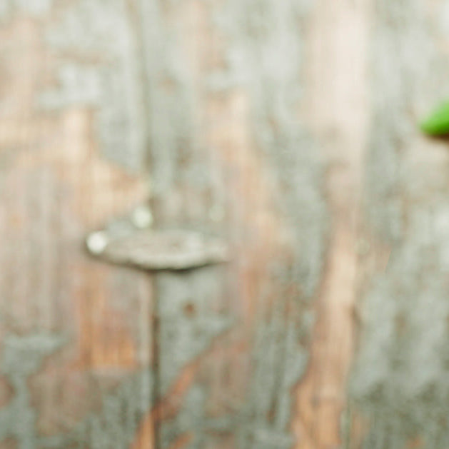 YOUR FAVORITE APPLE-CRANBERRY CIDER