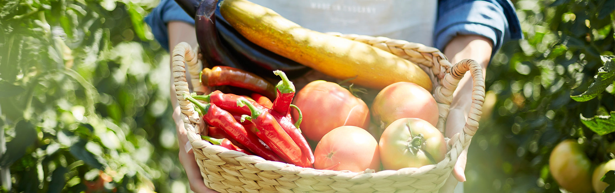 14 WAYS TO EAT MORE VEGETABLES