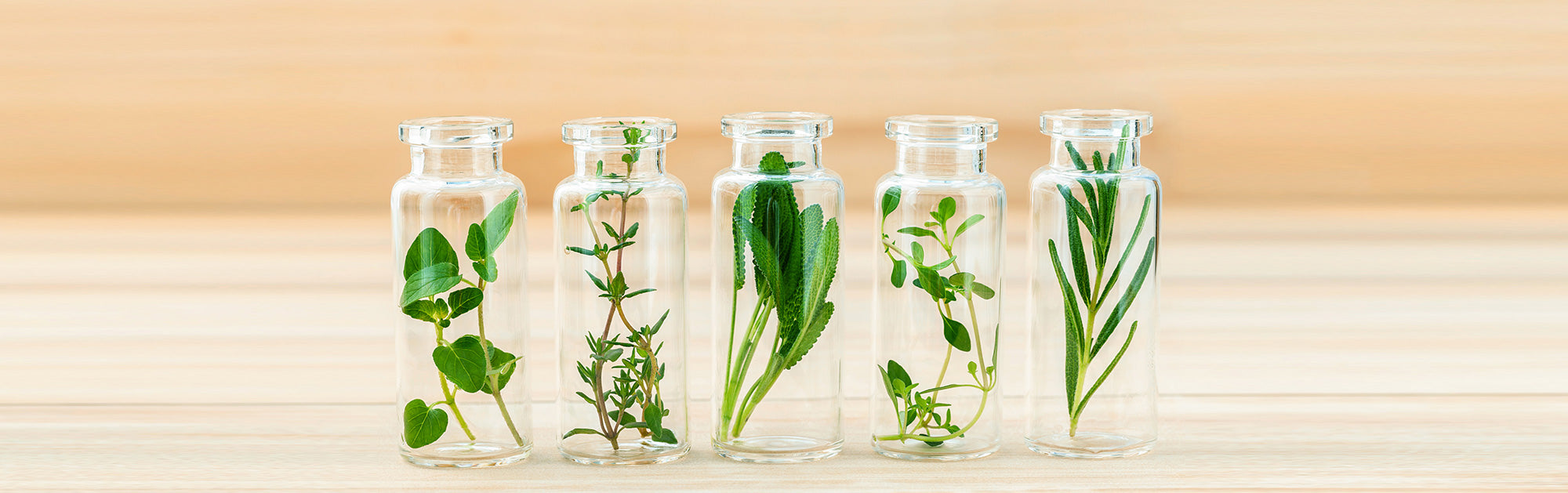 7 UNIQUE HERBS FOR JUICING