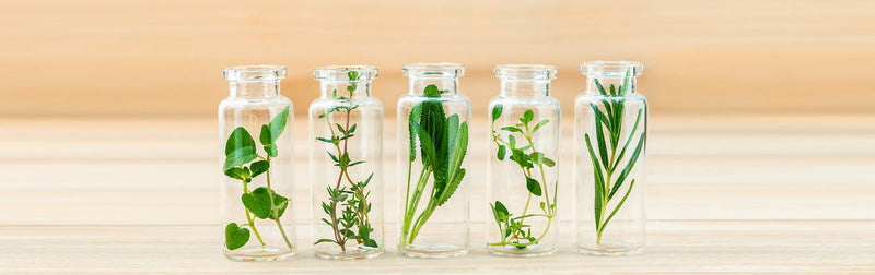 7 UNIQUE HERBS FOR JUICING